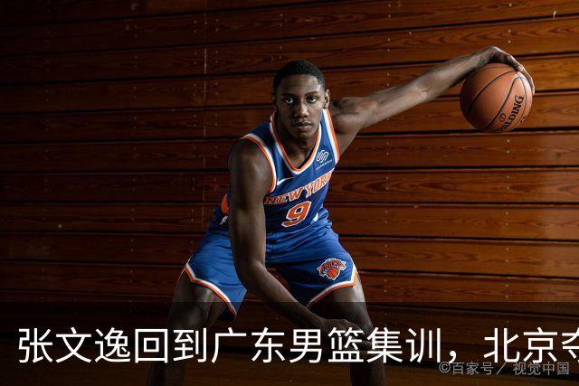 张文逸回到广东男篮集训，北京夺冠功勋确定退役，上海欲续约弗格